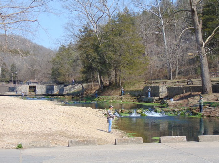 Trout Fishing